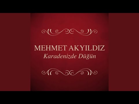 E Çaykara / Erik Dalı