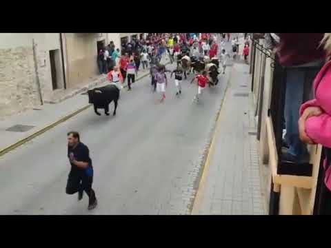 Cogida de toro dura en el encierro de Peñafiel