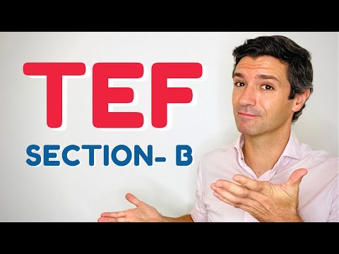 TEF speaking test - Section B | How it works, Advices and DIALOGUE!