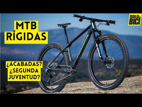 Hardtail MTBs: A Second Youth or a Death Sentence?
