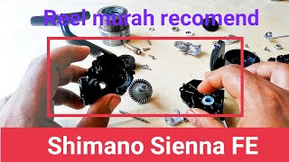 Sienna shimano 4000