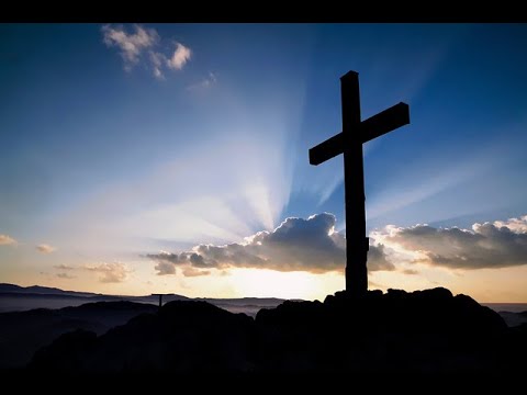 ELIANA POPA -  LANGA CRUCEA PARASITA