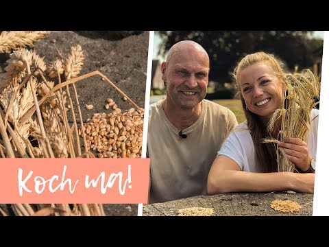 Weizen, Dinkel, Roggen - wo ist der Unterschied? | Erklär ma!