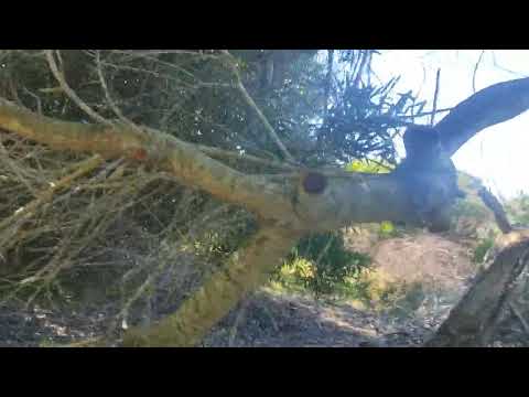 Oceanía del Polonio 21 de junio de 2025