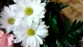 Valentine flowers from my Son