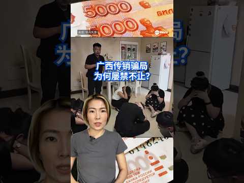 52名新加坡人因涉嫌在广西参与传销活动和相关罪行被捕。据了解，他们涉及的计划疑与“1040阳光工程”有关联。广西传销为何近20年仍屡禁不止？#8视界新闻网 #china #scam #1040阳光工程