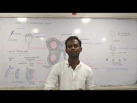 download lagu mp3 mp4 Stemen, download lagu Stemen gratis, unduh video klip Stemen