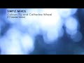 Simple Minds: Colours Fly and Catherine Wheel [12'' Extended Version 2023, Unofficial]