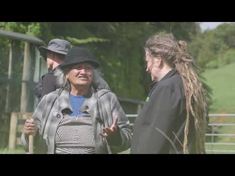 taiea te taiao 2025 v3 1080p