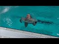 Girls B Platform Senet Diving Cup 2018
