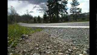 Gorillaz - The Snake In Dallas (Un-Official Video)