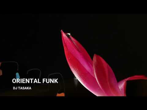 DJ TASAKA 『Oriental Funk』Video Mix