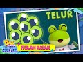 Itulah Katak I Lagu Terbaharu Musim Ketujuh I Didi Friends Kembara Muzikal