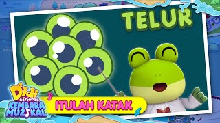 Download lagu Itulah Katak I Lagu Terbaharu Musim Ketujuh I Didi & Friends Kembara Muzikal mp3