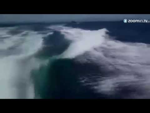 Killerwale jagen Speed-Boot