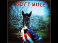 Gov't Mule-Life On the Outside