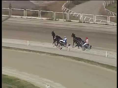 Trotto 07/12/2018 - 2ª prova di qualifica