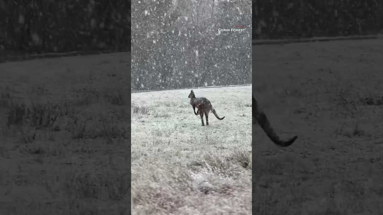 Is winter in winter in Australia?