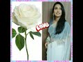 Asha Gowda Vasu Vs Roses