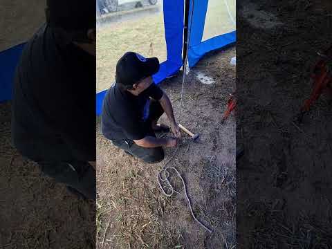 Preparándonos para la tormenta en Funes, Santa Fe