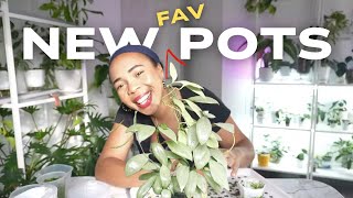 😮NEW favourite pots? ✨& NEW Planty Accessories✨