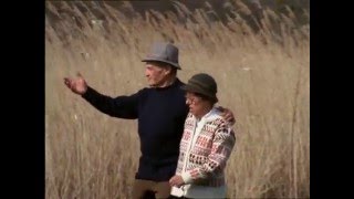 Thumbnail del capítulo