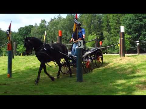 Fahrturnier Alfhausen 22.5.2022