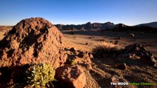 Where Can I Go Without You