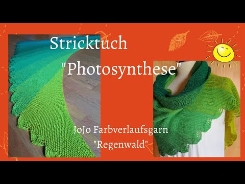 Stricktuch "Photosynthese"