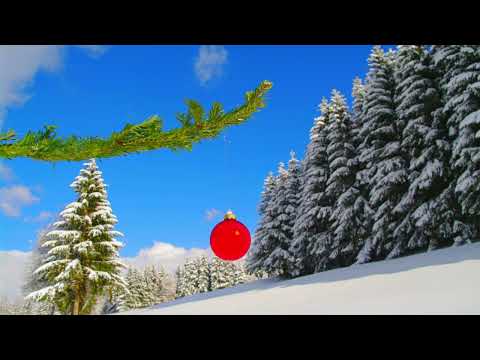 Al Iudeii Imparat - Manastirea Sihastria Putnei