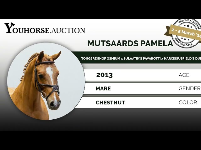 Mutsaards Pamela showvideo indoor