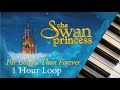 Soft Nostalgic Swan Princess 1 Hour Calm Piano Loop
