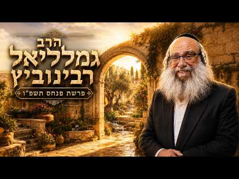 הרב גמליאל רבינוביץ | פרשת פנחס תשפ"ו (2026) | עלונימייל