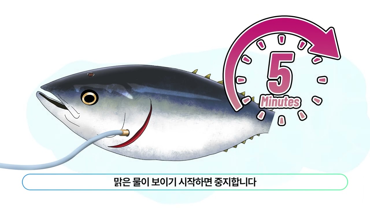 FIRA 어민 교육 영상