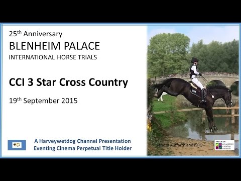 CCI 3 Star Cross Country: Blenheim Horse Trials 2015