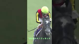 青嶋の青嶋による青嶋のための有馬記念実況　#競馬 #ウマ娘 #有馬記念