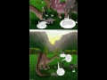 Land Before Time