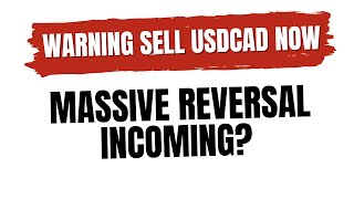 Weekly Forex Technical Analysis For USDCAD & NZDUSD (13/01/2025)