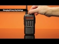 Видеообзор Vertex EVX-534