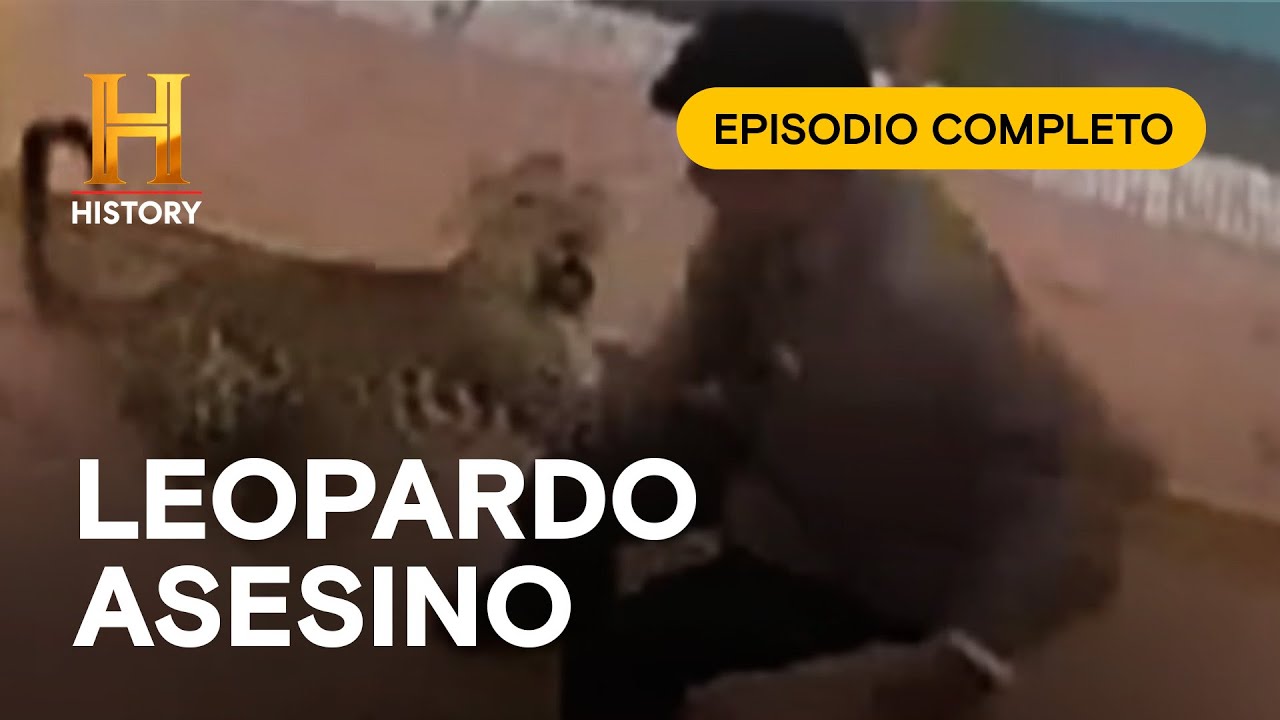 LEOPARDO SUELTO, CAÍDA LIBRE - CASOS INSÓLITOS DE LA HISTORIA - EPISODIO COMPLETO