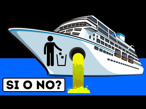 Che Fine fanno i Rifiuti su una Nave da Crociera