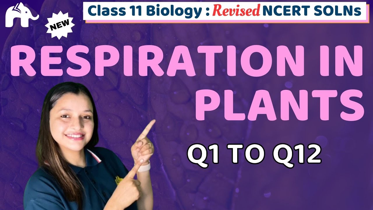 Respiration in Plants Class 11 Biology | Revised NCERT Solutions | Chapter 12 Questions -12