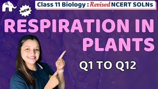 Respiration in Plants Class 11 Biology | Revised NCERT Solutions | Chapter 12 Questions -12