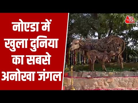 Noida में हुआ जंगल ट्रेल पार्क का शुभारंभ, 500 टन कबाड़ से बनीं अनोखी मूर्तियां आकर्षण का केंद्र