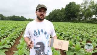 Why are Liga Privada cigars so scarce? | Featuring Nicholas Melillo of Drew Estate