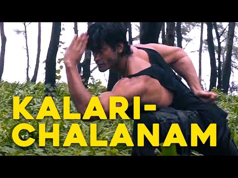 Kalari-Chalanam: Movement Of Animals (Teaser) | Kalaripayattu | Martial Arts