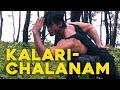 Kalari Chalanam Movement Of Animals Teaser Kalaripayattu Martial Arts