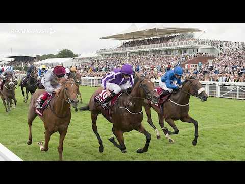 Duels on the Downs: 2016 Qatar Sussex Stakes