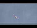 Tower Trainer Modified Flaps Mixing And Dual Rates