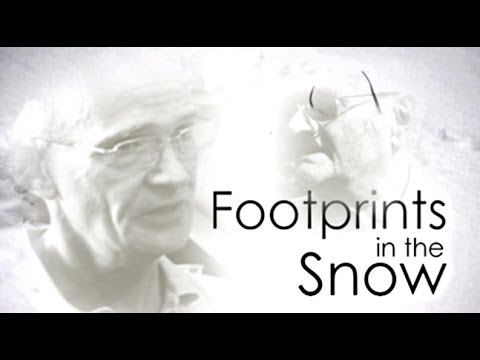 Footprints in the Snow